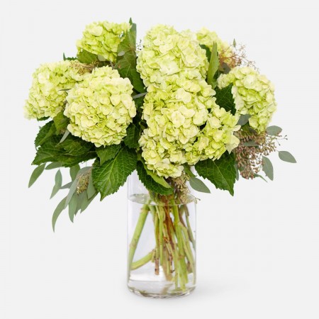 Blue Diamonds - Flowers - Delivery NYC