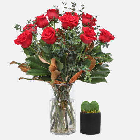 1-Dozen Elegant Roses + Sweetheart Plant