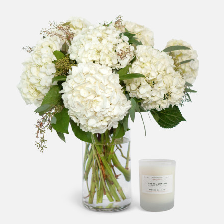 White Hydrangeas + Sydney Hale Candle