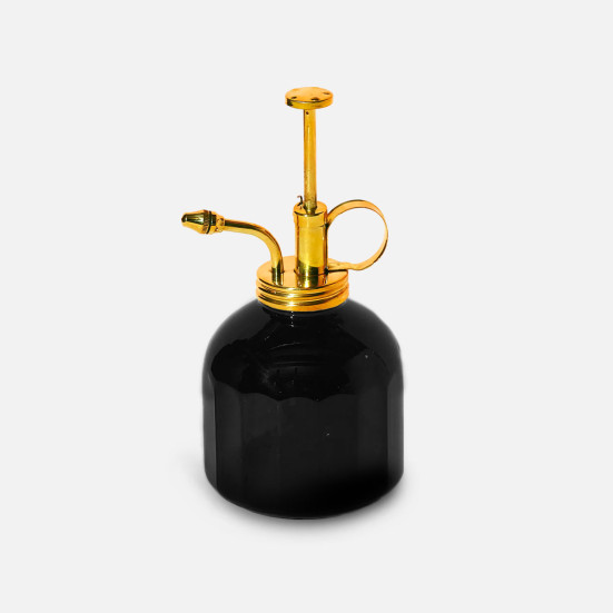 Modern Sprout Black Glass + Brass Mister Plant Care