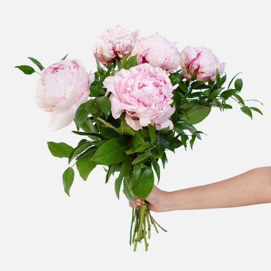 Pale Pink Peony Bouquet  Flowers for Mom