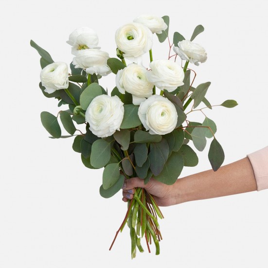 White Ranunculus Bouquet Bouquets