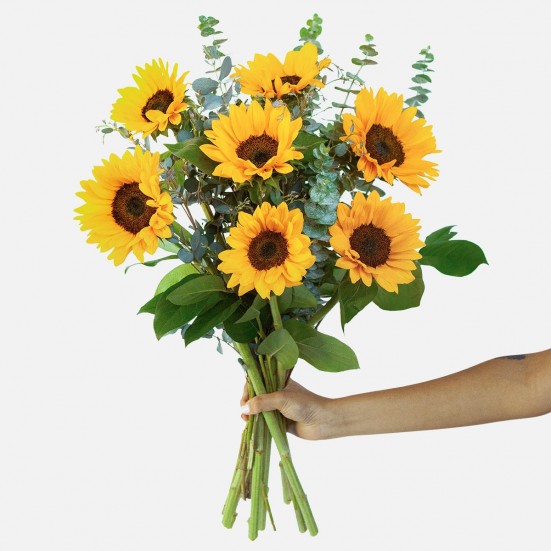 Sunflower Bouquet Congratulations
