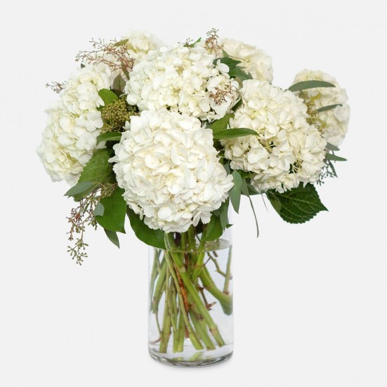 White Hydrangeas Flowers for Mom