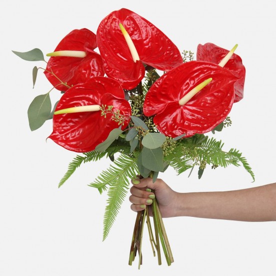 Red Anthurium Bouquet  Thanksgiving