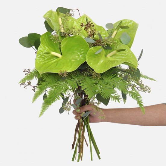 Midori Green Anthurium Bouquet  Housewarming