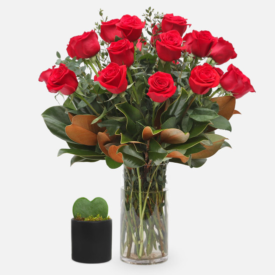 2-Dozen Elegant Roses + Sweetheart Plant Roses