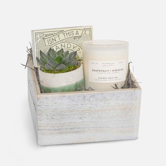 Candle & Succulent Gift Box Christmas Shop