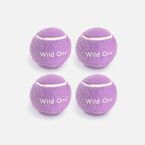 Wild One Tennis Balls for Dogs Holiday Gifting