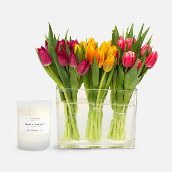 Tootsie + Sydney Hale Candle Tulips