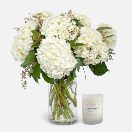 White Hydrangeas + Sydney Hale Candle Thank You