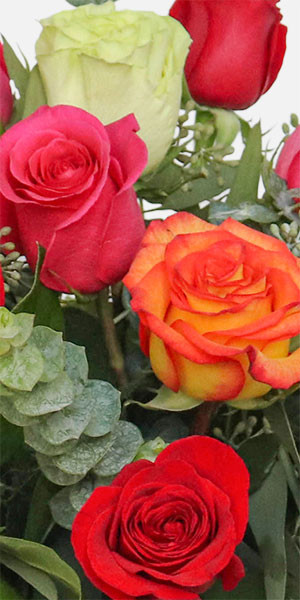 1-Dozen Multicolor Roses + Sydney Hale Candle