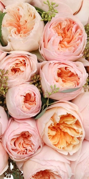 Blush Garden Rose Bouquet