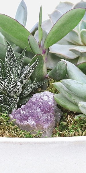 Verge Crystal Succulent Garden