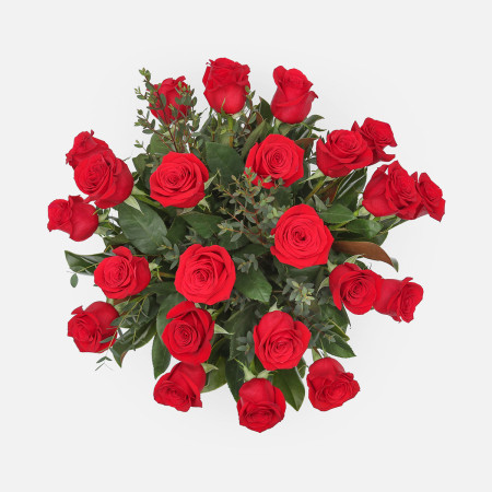 2-Dozen Elegant Roses + Sweetheart Plant