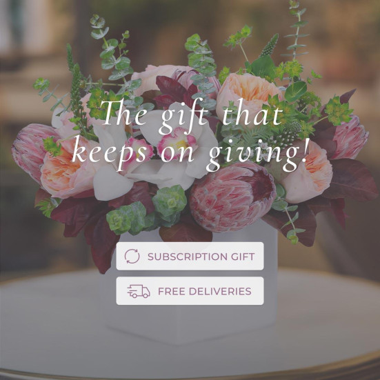 Designer’s Choice Arrangement Subscription All Valentine's Flowers
