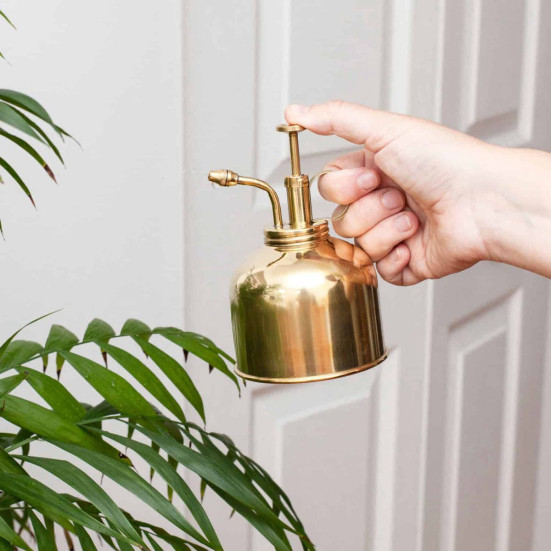 Modern Sprout Brass Mister Plant Care
