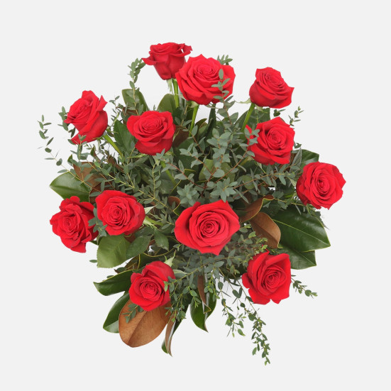 1-Dozen Elegant Roses + Sweetheart Plant All Valentine's Flowers