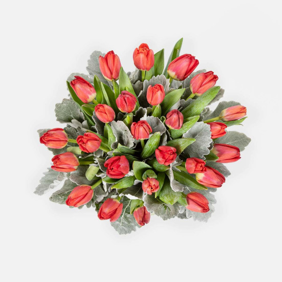 Forever Tulips WeWork