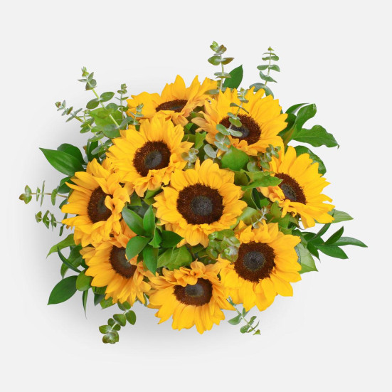 Sun Shower Sunflowers