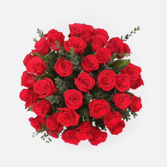 3-Dozen Elegant Roses + Sweetheart Plants All Valentine's Flowers
