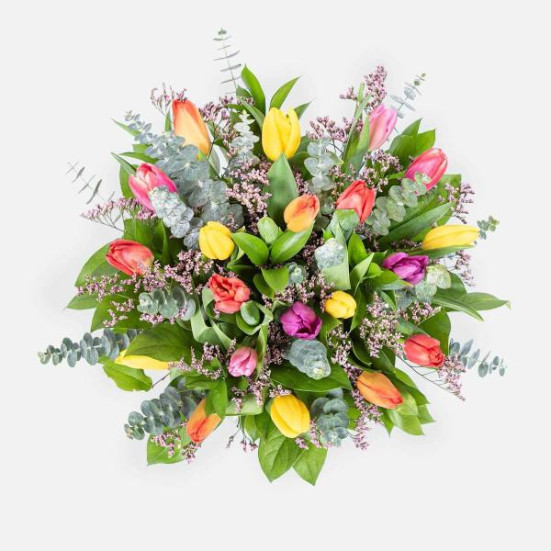 Multicolor Tulip Garden + Sydney Hale Candle Specials