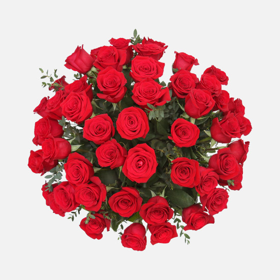 4-Dozen Elegant Roses + Sweetheart Plants All Valentine's Flowers