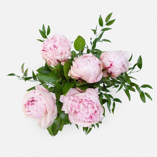 Pale Pink Peony Bouquet  Bouquets