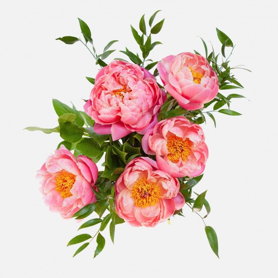 Coral Peony Bouquet  Flowers