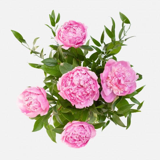 Pink Peony Bouquet  Bouquets