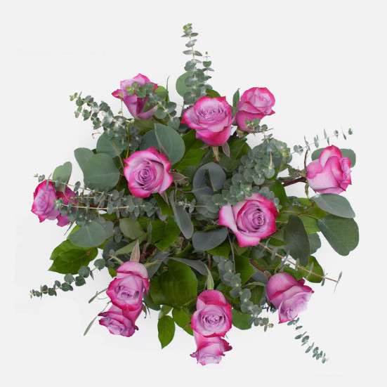 1-Dozen Deep Purple Roses Flowers