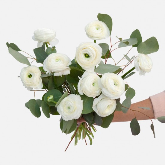 White Ranunculus Bouquet Bouquets