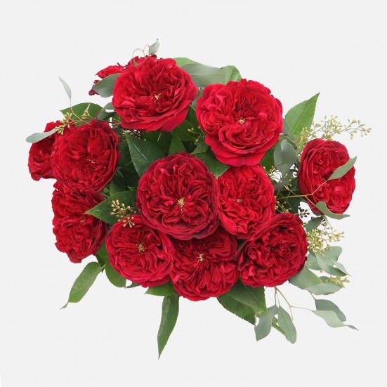 Red Garden Rose Bouquet Just Roses