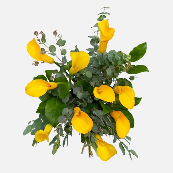 Yellow Calla Lily Bouquet Congratulations