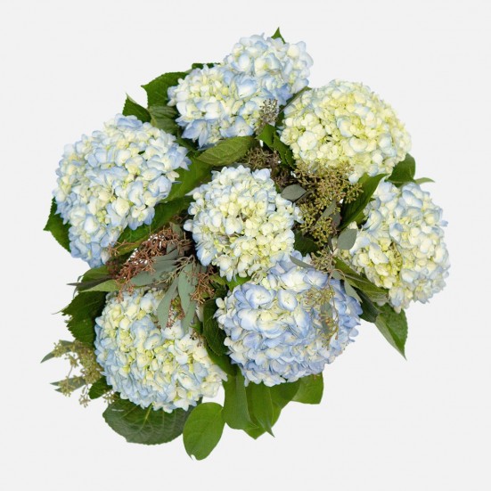 Blue Hydrangeas Bouquets