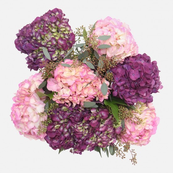 Lyla Hydrangeas Bouquets