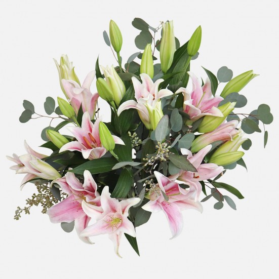 Pink Lilies Get Well