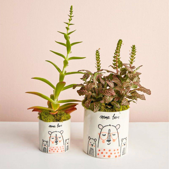 4'' Mama Bear Pot Containers/Planters