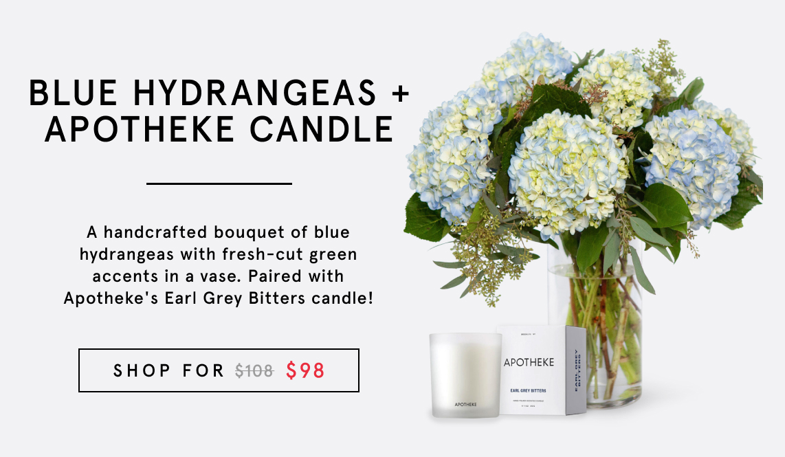 Blue Hydrangeas + Apotheke Candle - plantshed.com