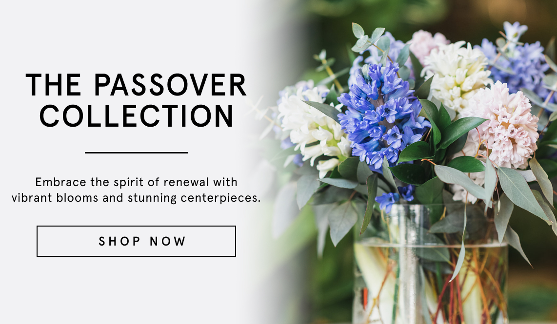THE PASSOVER COLLECTION - plantshed.com