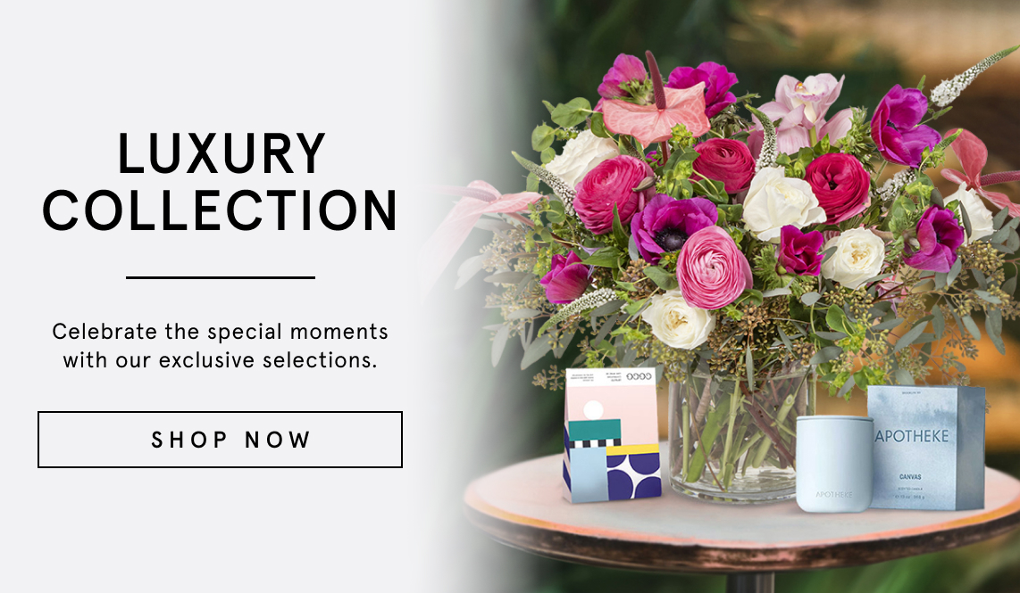 LUXURY COLLECTION - plantshed.com