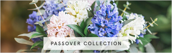 Passover Collection