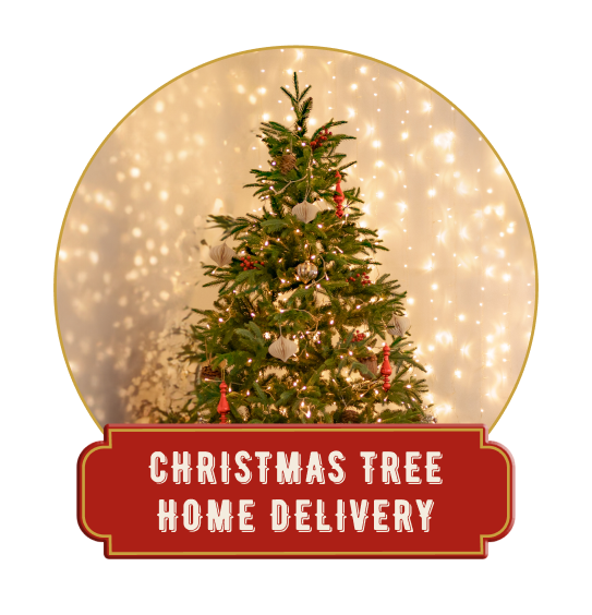 Christmas Tree Home Delivery NYC