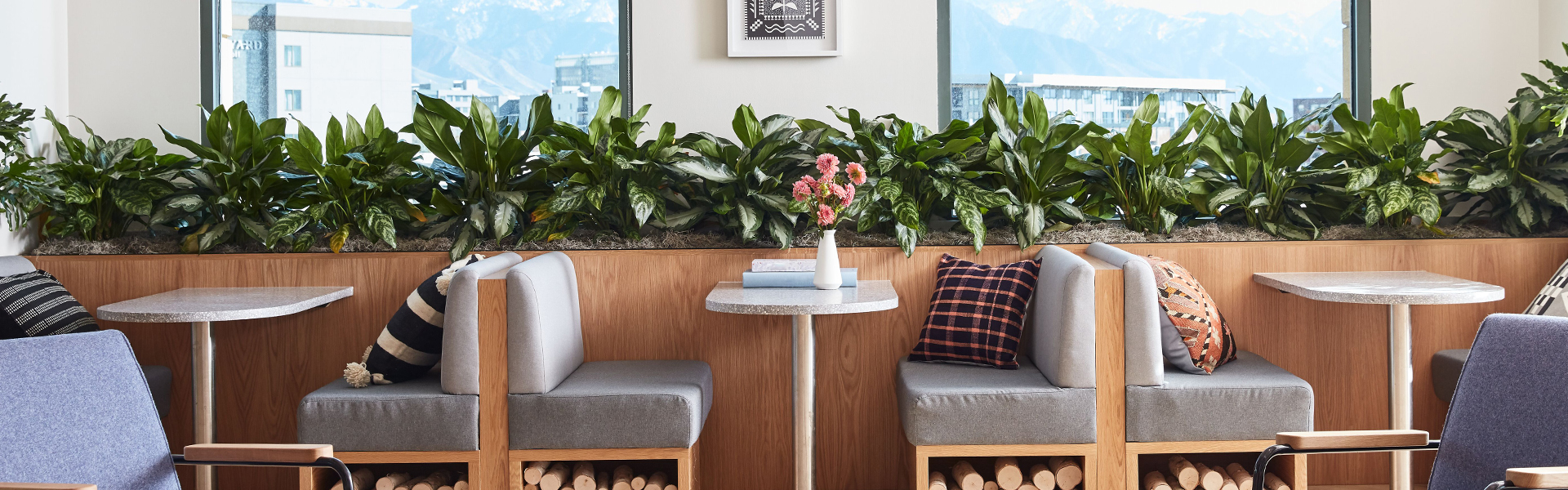 Office Plant Services NYC