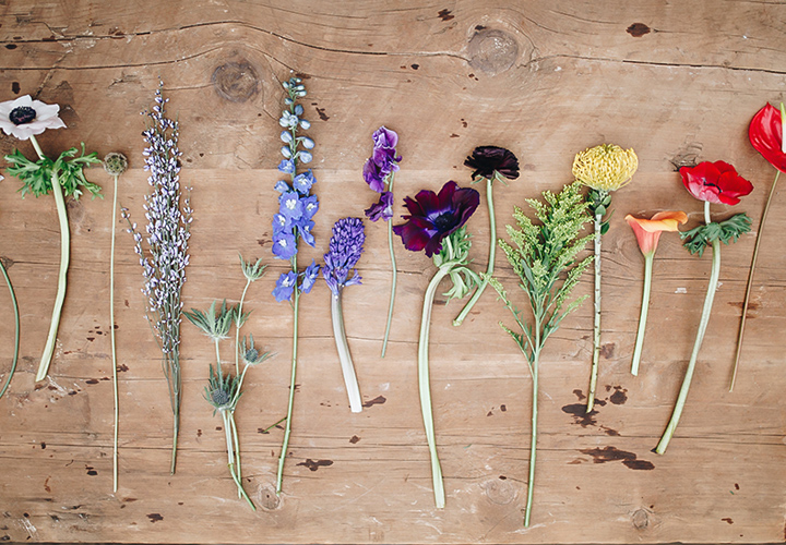 Spring Flower Pressed Art: A Creative Way to Preserve the Beauty of Spring Blooms