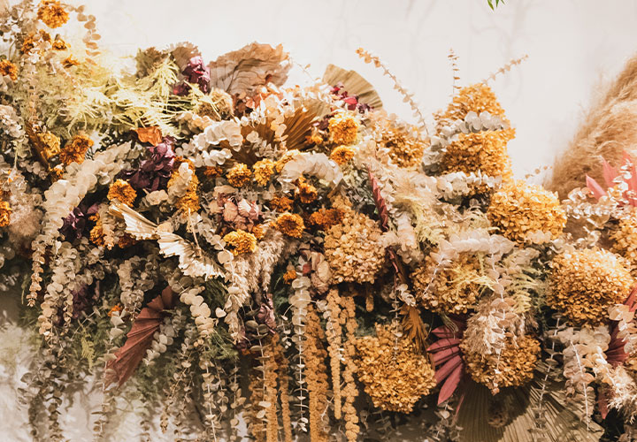 Harvest Traditions Around The World