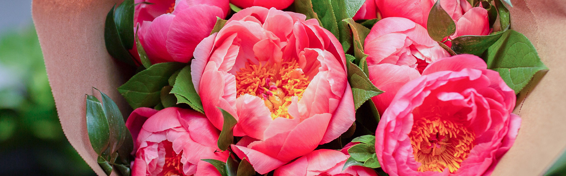 The Perfect Flower for Mother's Day: Peonies Please!