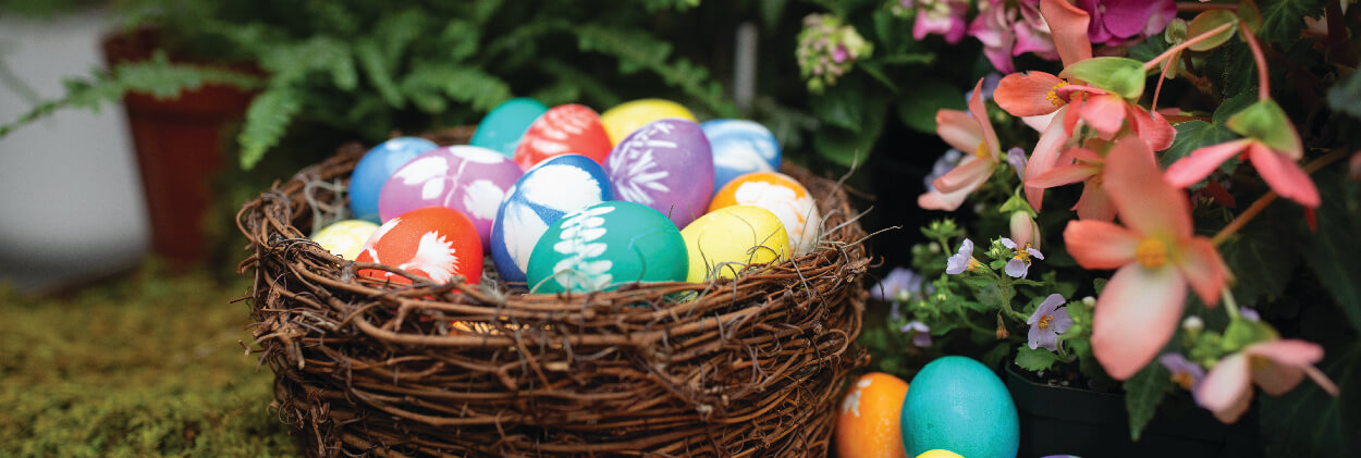 DIY: Botanical Easter Eggs